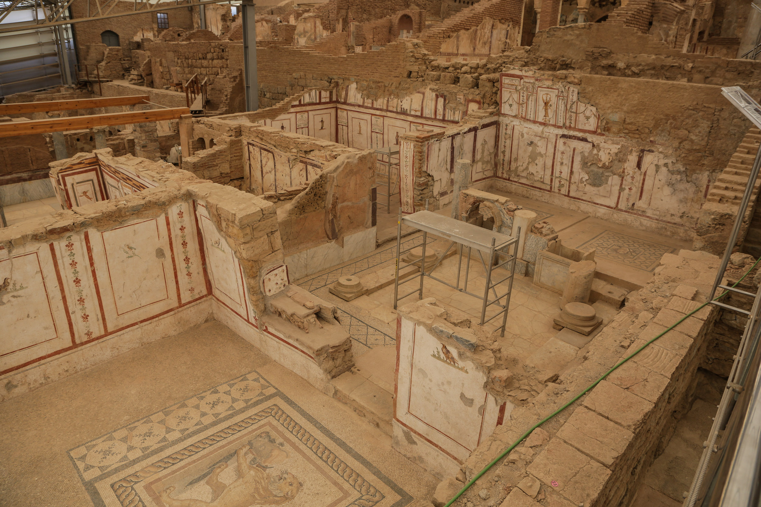 Terrace Houses mosaics at Ephesus